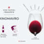 Tasting Challenge: Greek Xinomavro